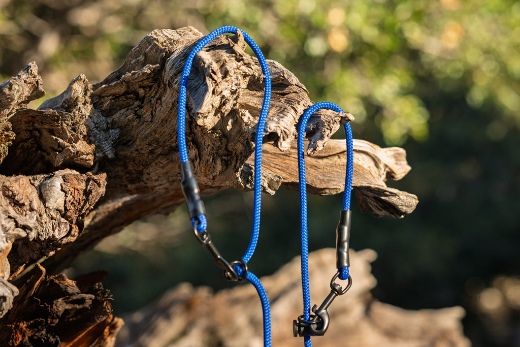 The Outland Leash