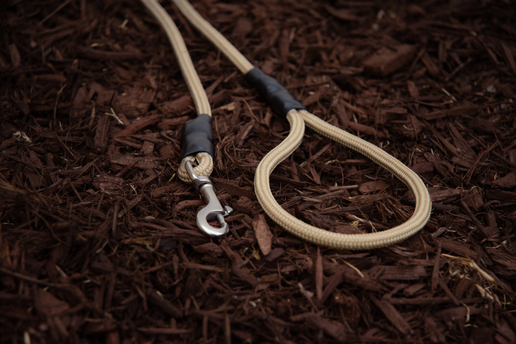 8mm Standard Clip Leash